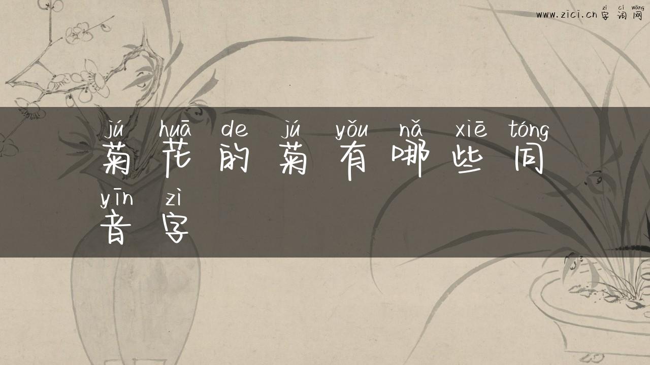 菊花的菊有哪些同音字