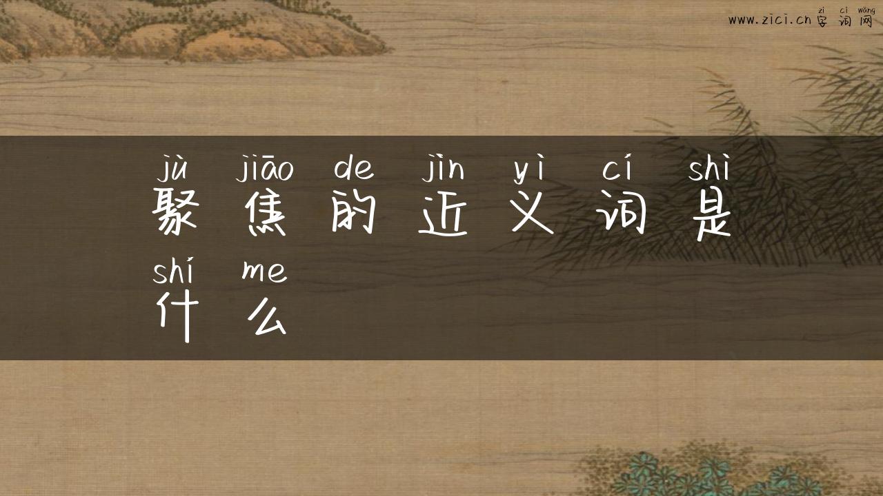 聚焦的近义词是什么