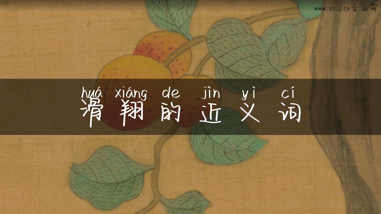 滑翔的近义词