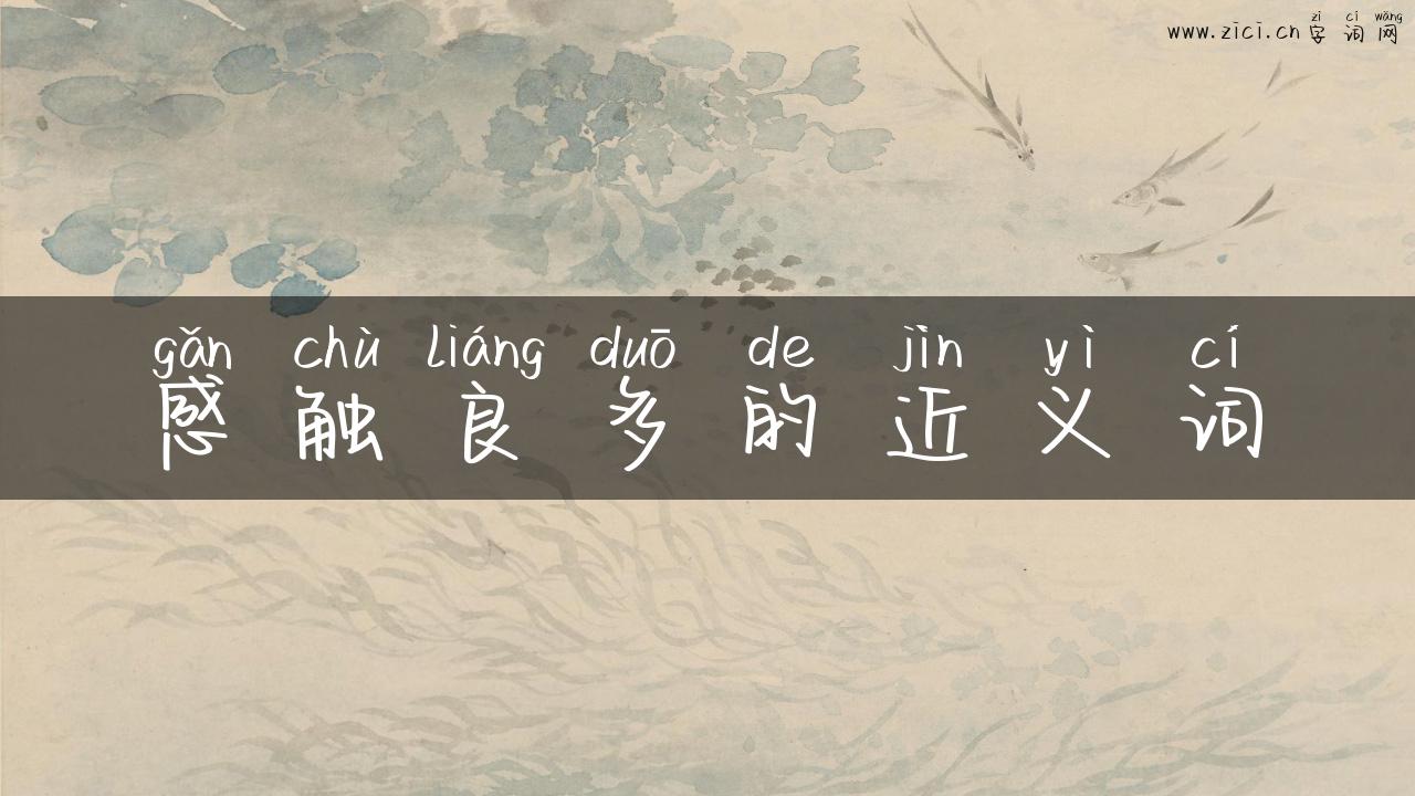 感触良多的近义词
