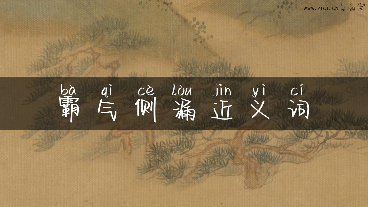 霸气侧漏近义词