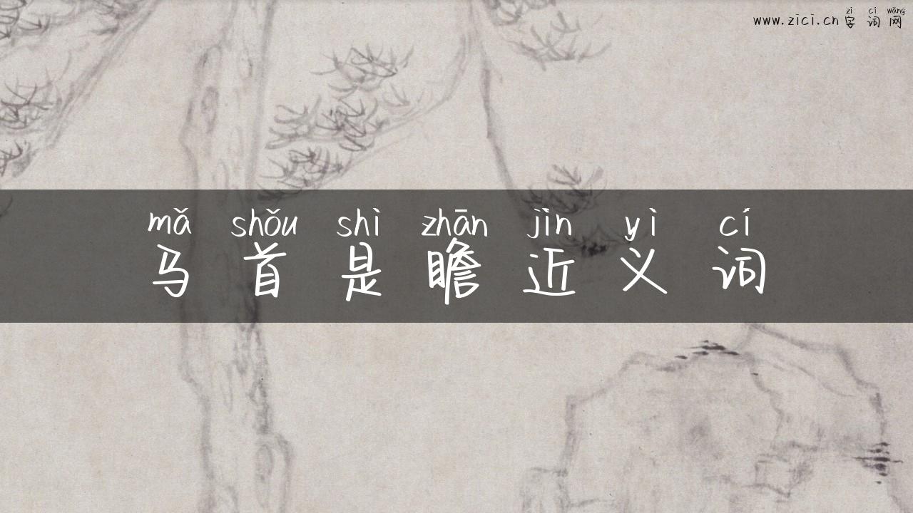 马首是瞻近义词