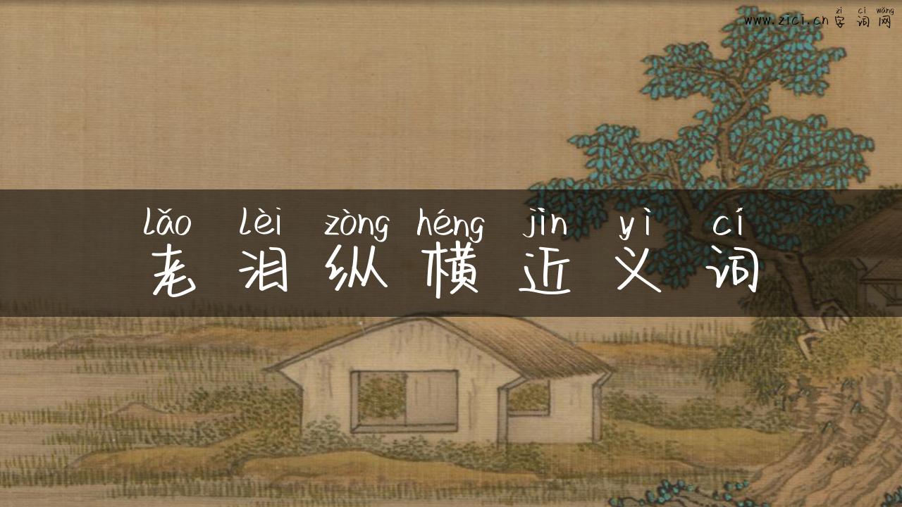 老泪纵横近义词