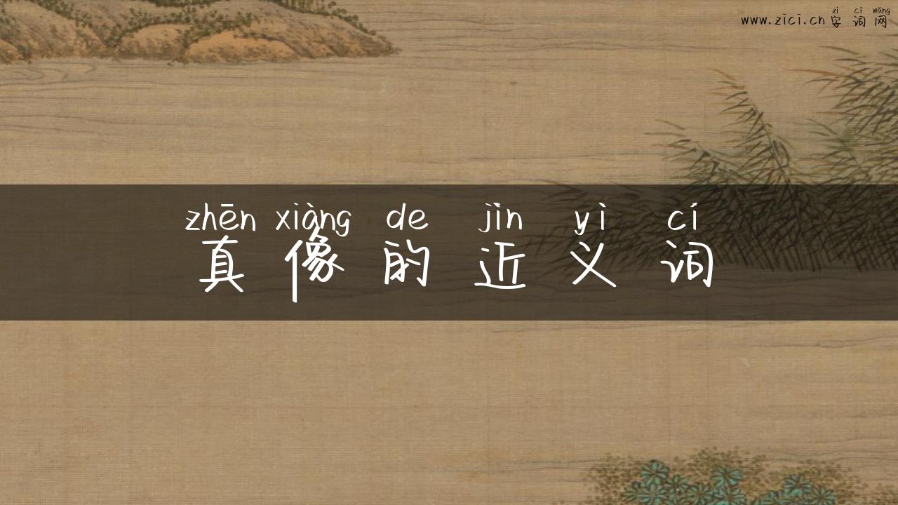 真像的近义词