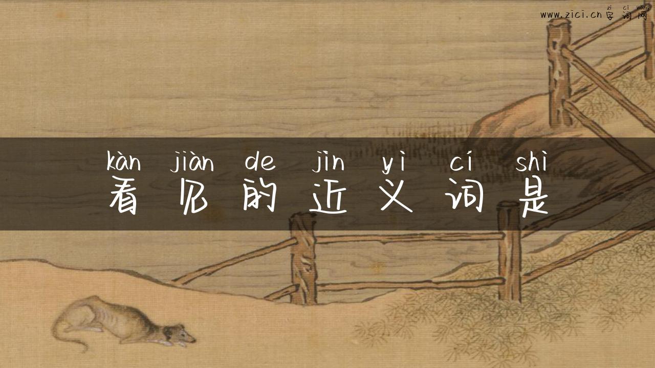 看见的近义词是