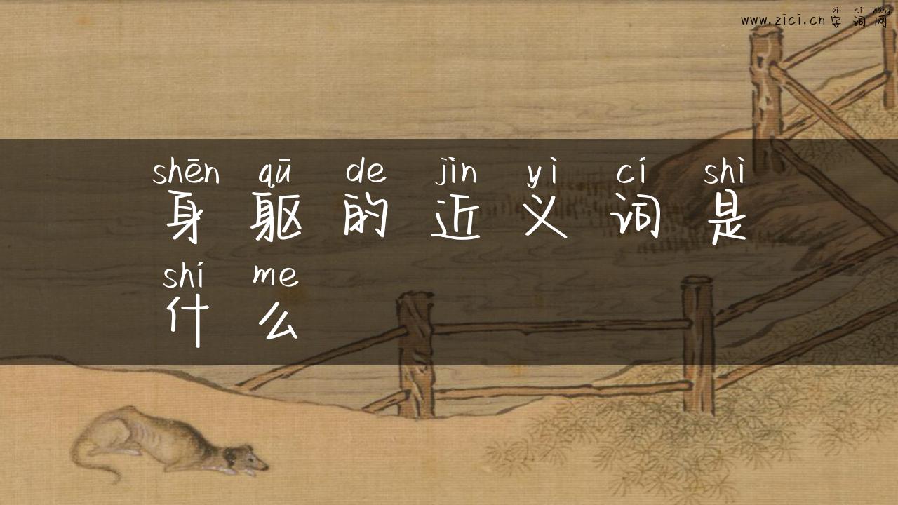 身躯的近义词是什么