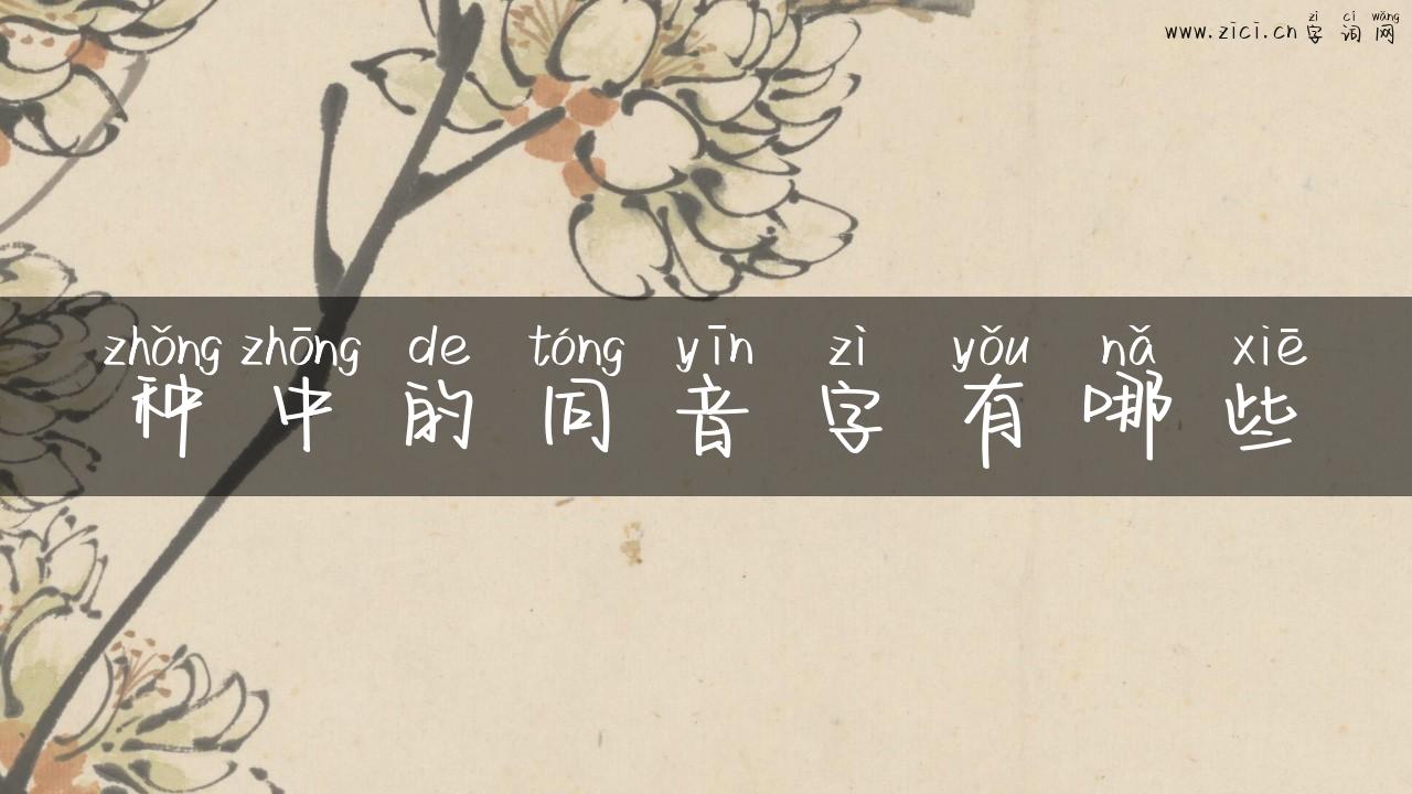 种中的同音字有哪些