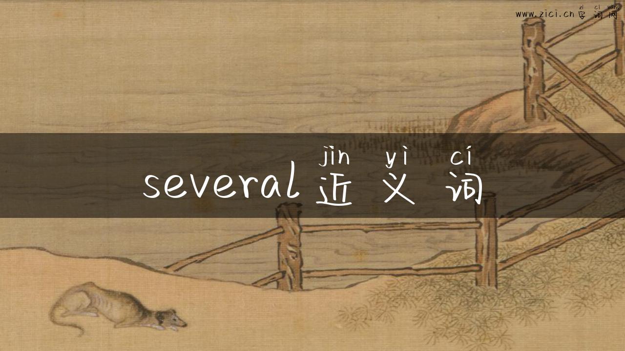 several近义词