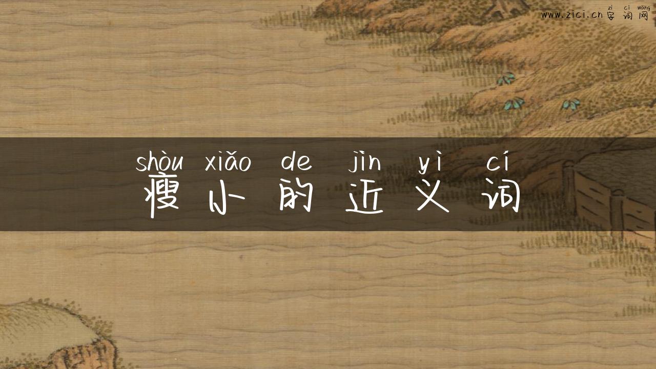 瘦小的近义词