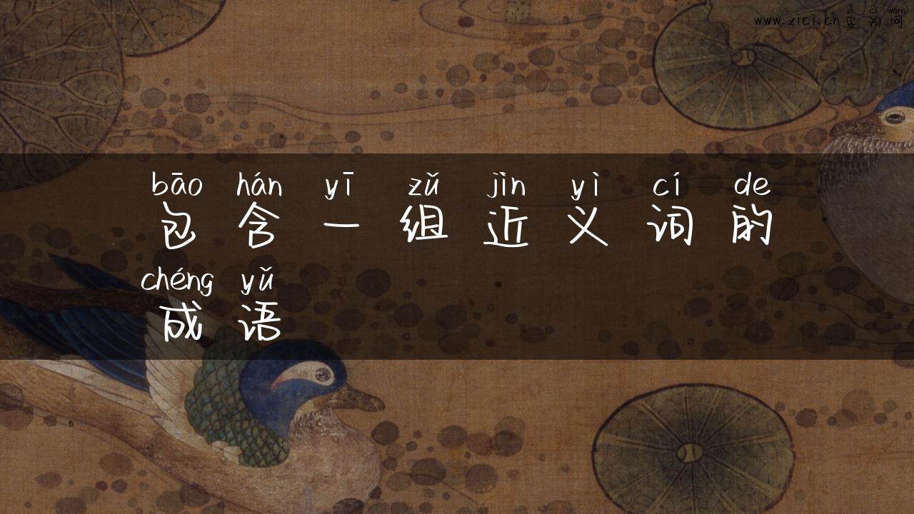包含一组近义词的成语