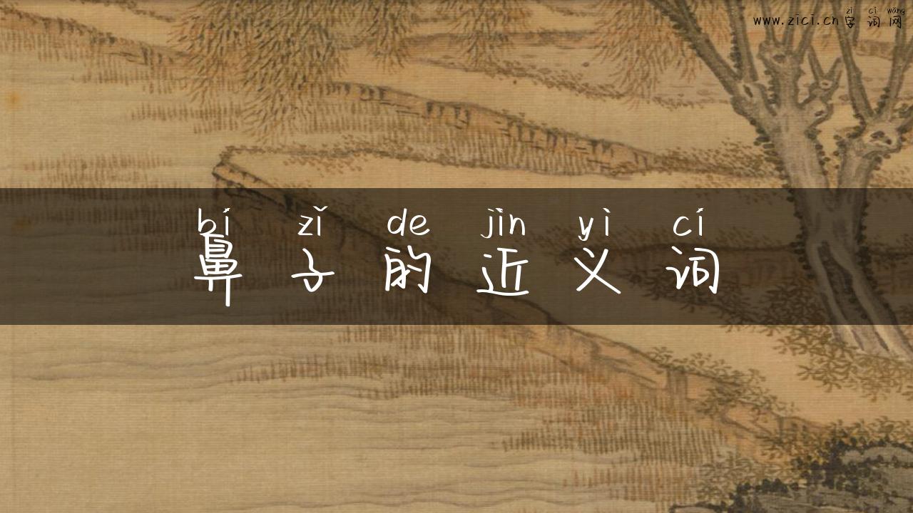 鼻子的近义词