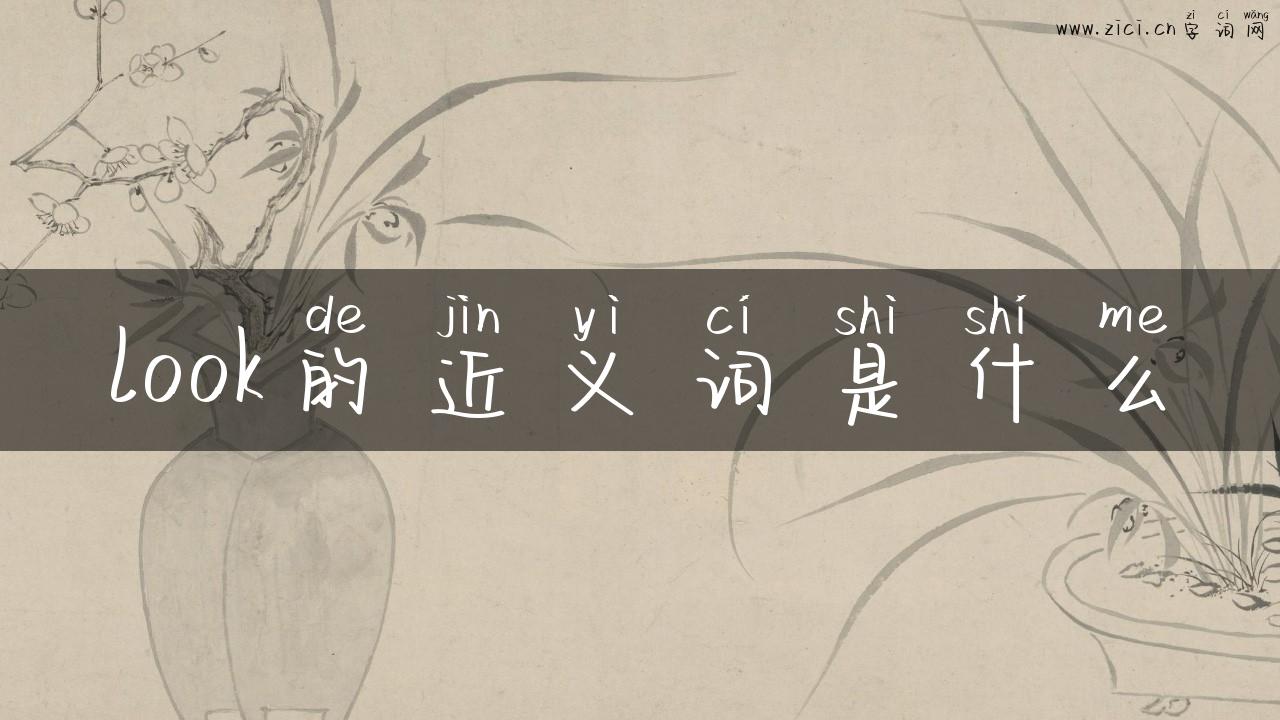 look的近义词是什么