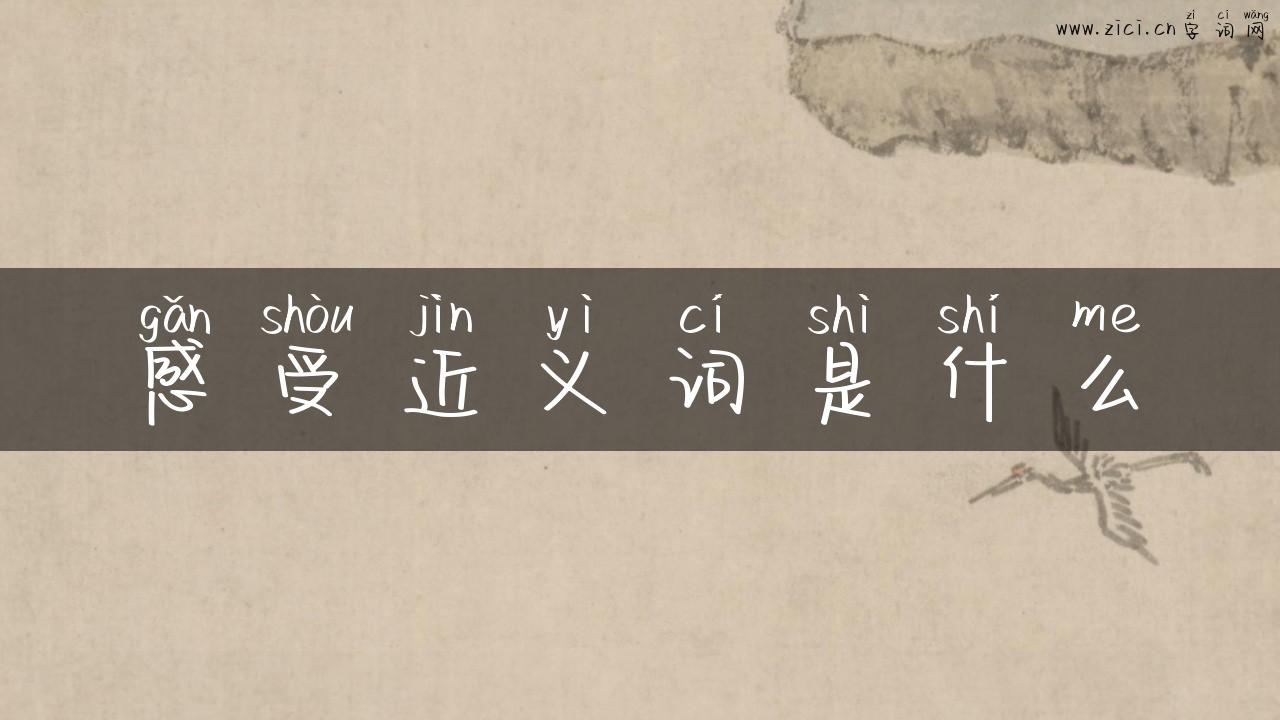 感受近义词是什么