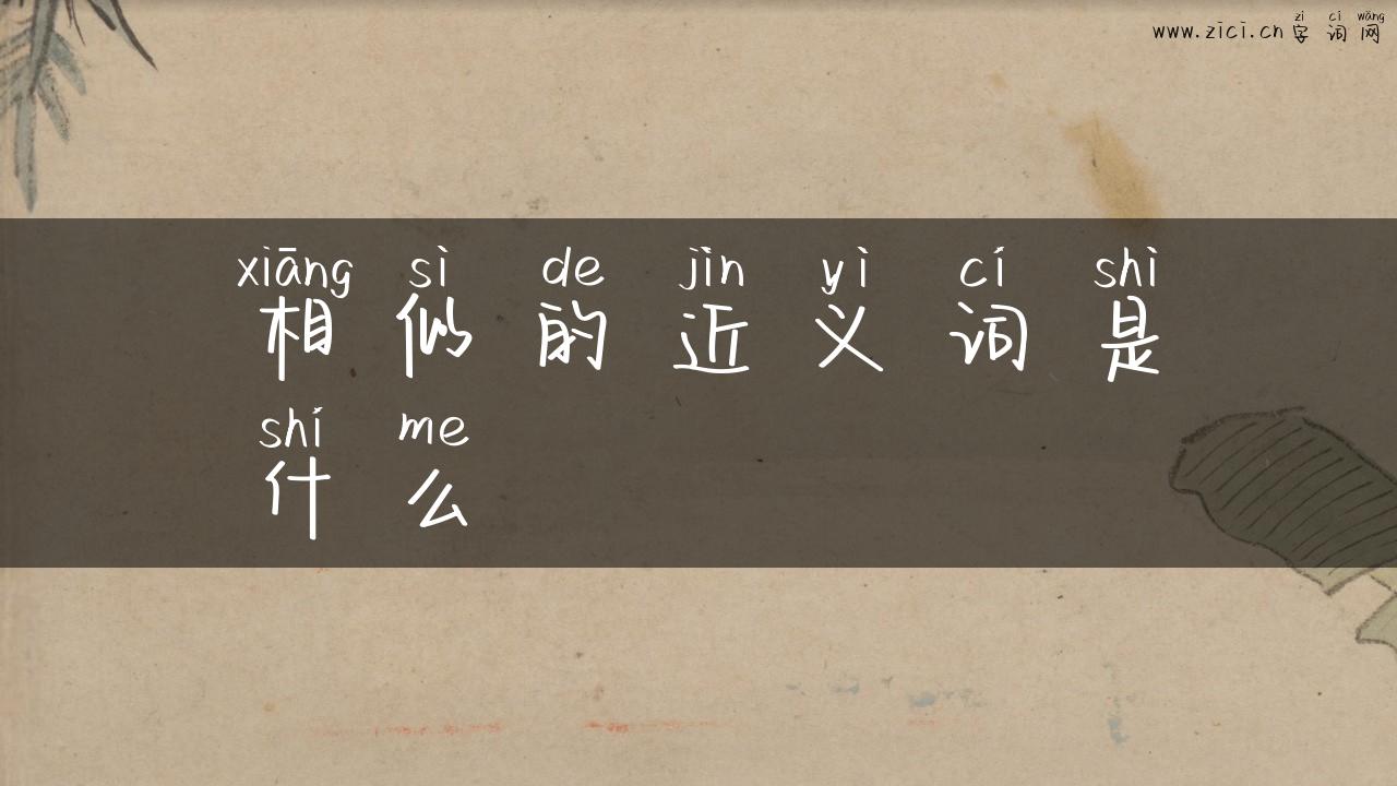 相似的近义词是什么