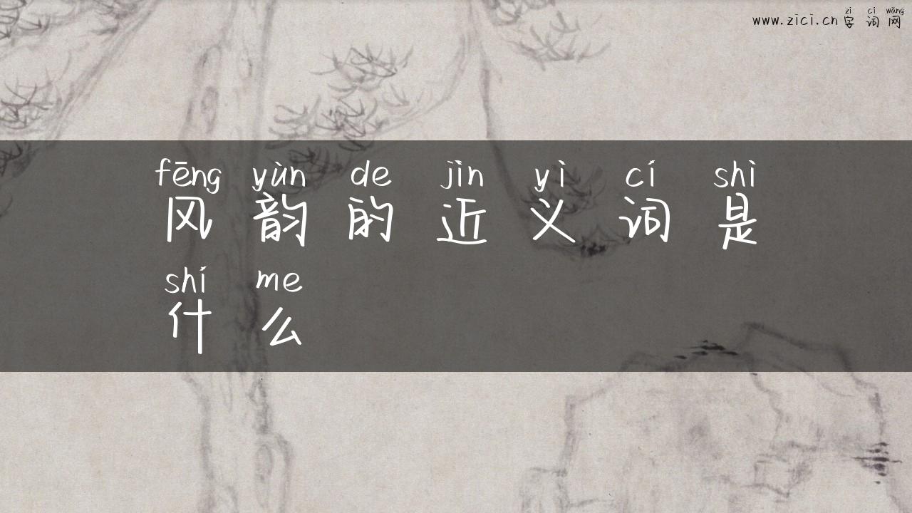 风韵的近义词是什么