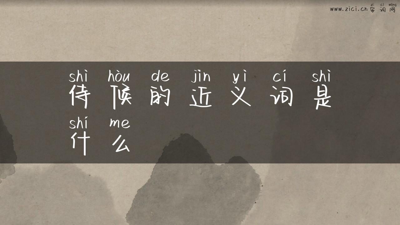 侍候的近义词是什么