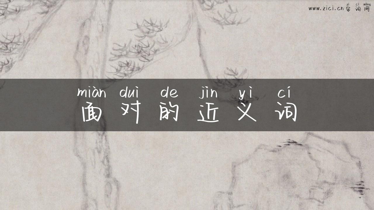 面对的近义词