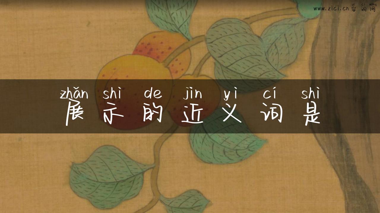 展示的近义词是