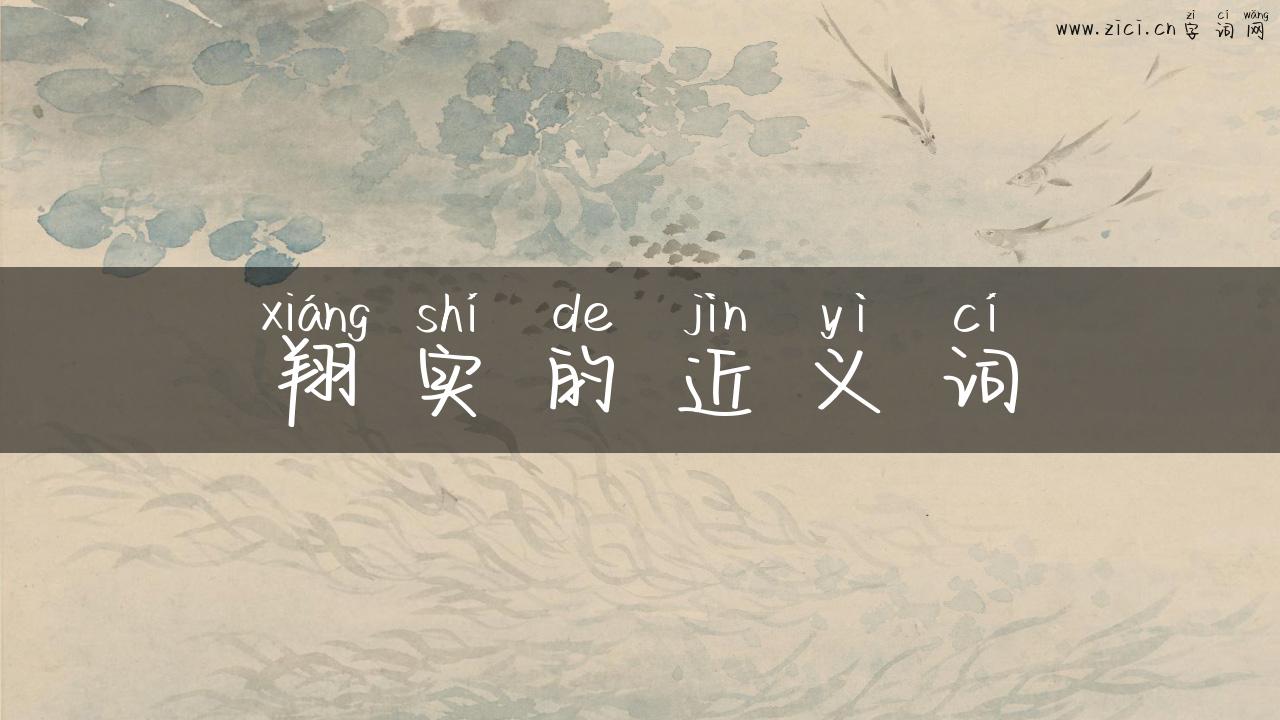 翔实的近义词