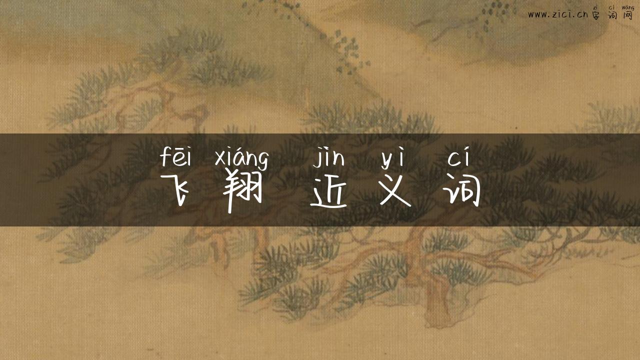 飞翔 近义词