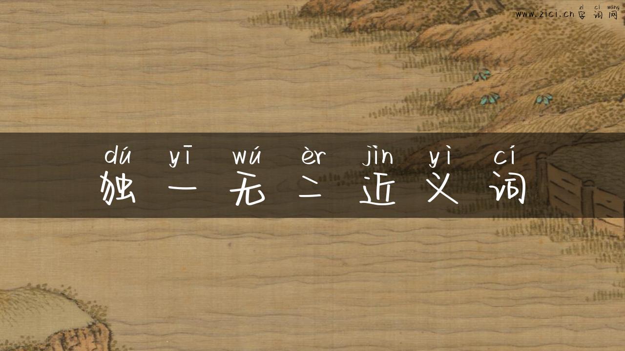 独一无二近义词