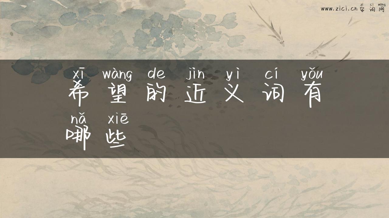 希望的近义词有哪些