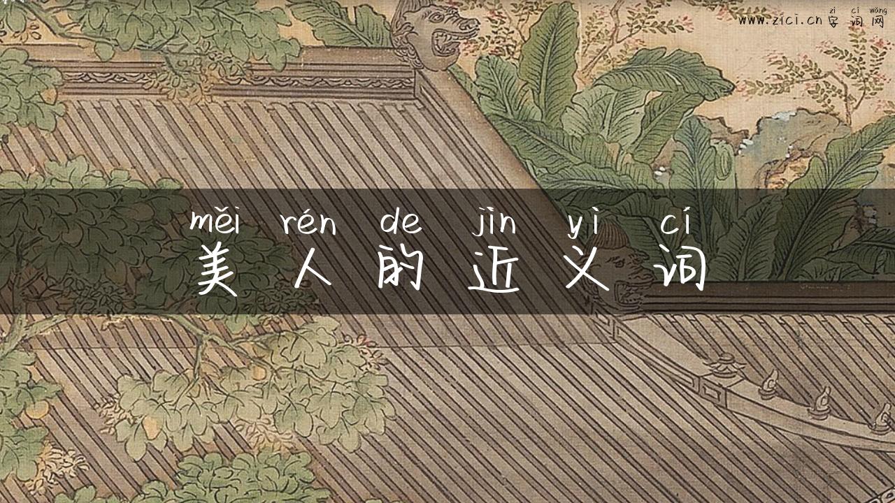 美人的近义词