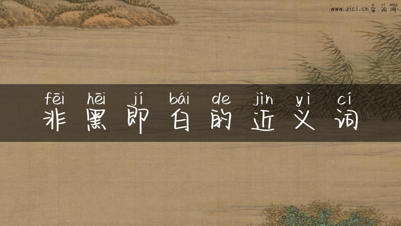 非黑即白的近义词