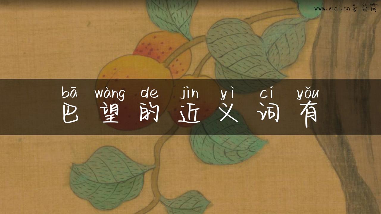巴望的近义词有