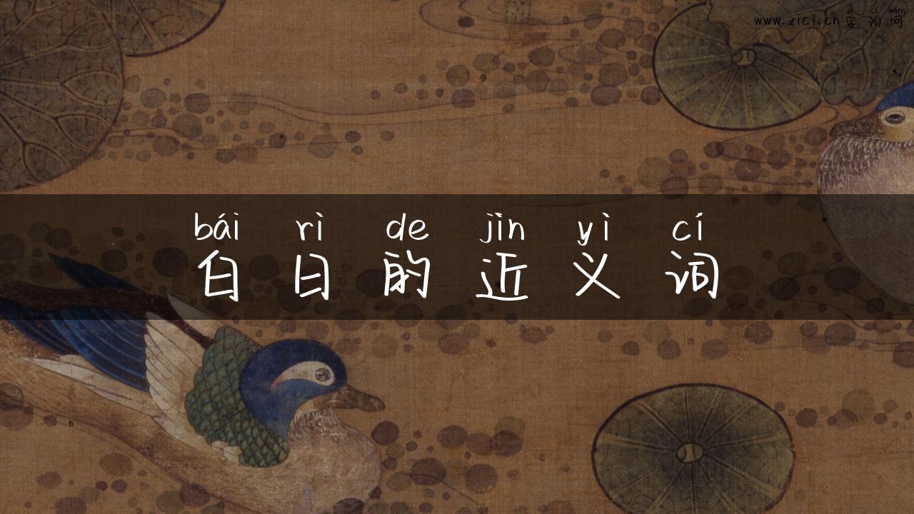 白日的近义词