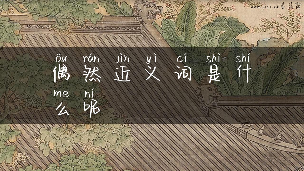 偶然近义词是什么呢