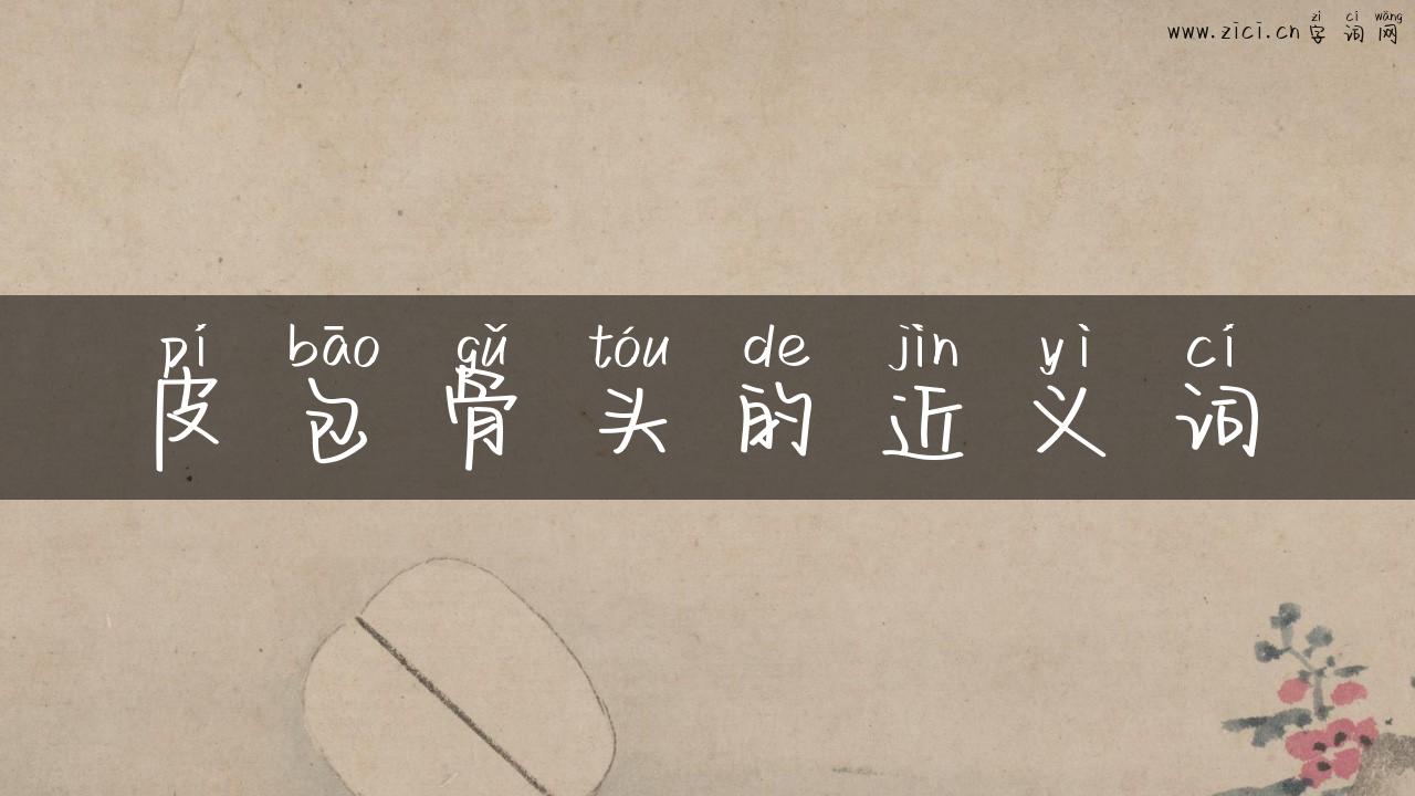 皮包骨头的近义词