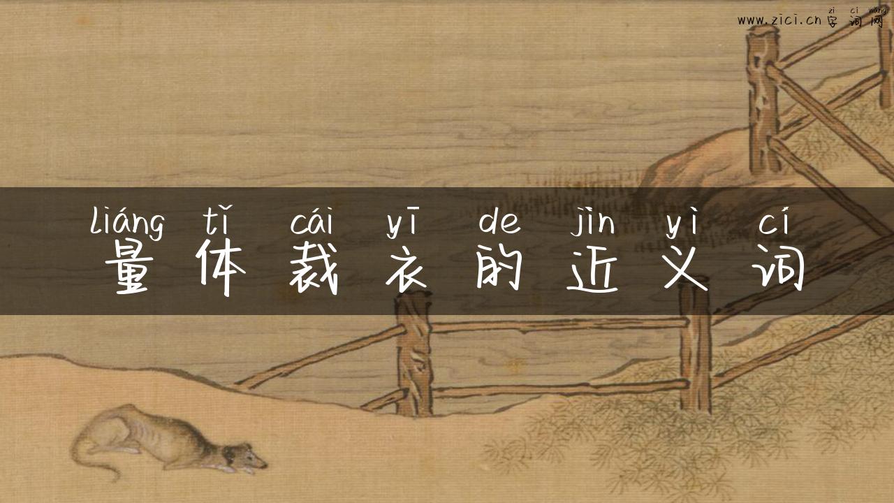 量体裁衣的近义词