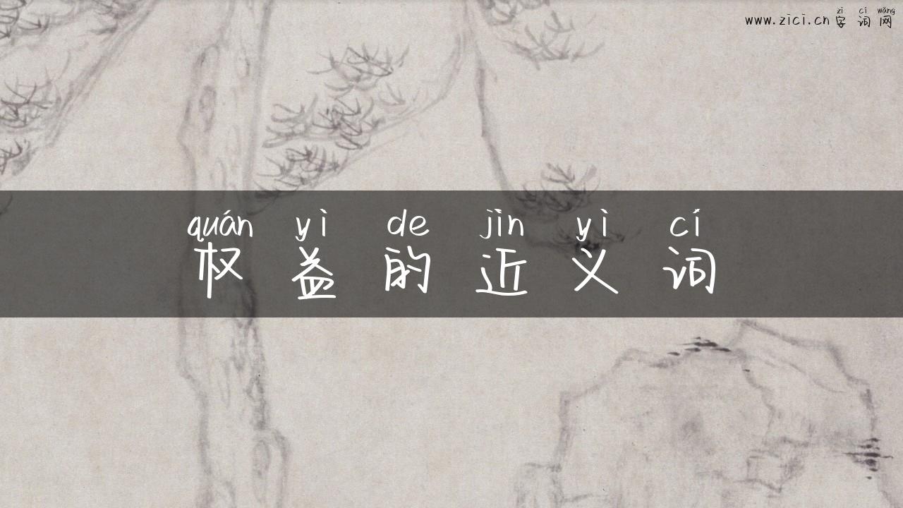 权益的近义词