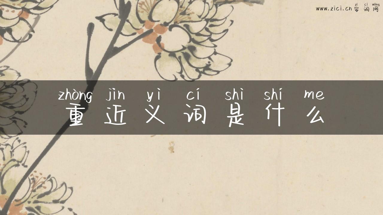 重近义词是什么
