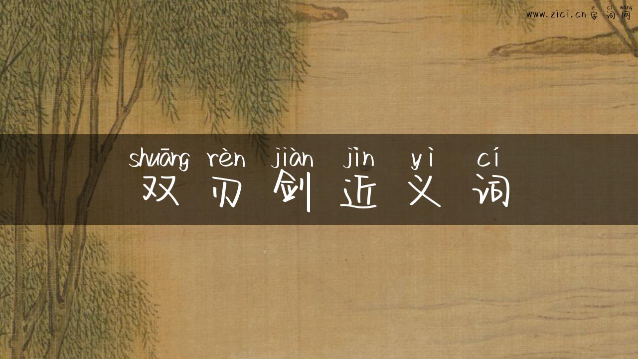 双刃剑近义词