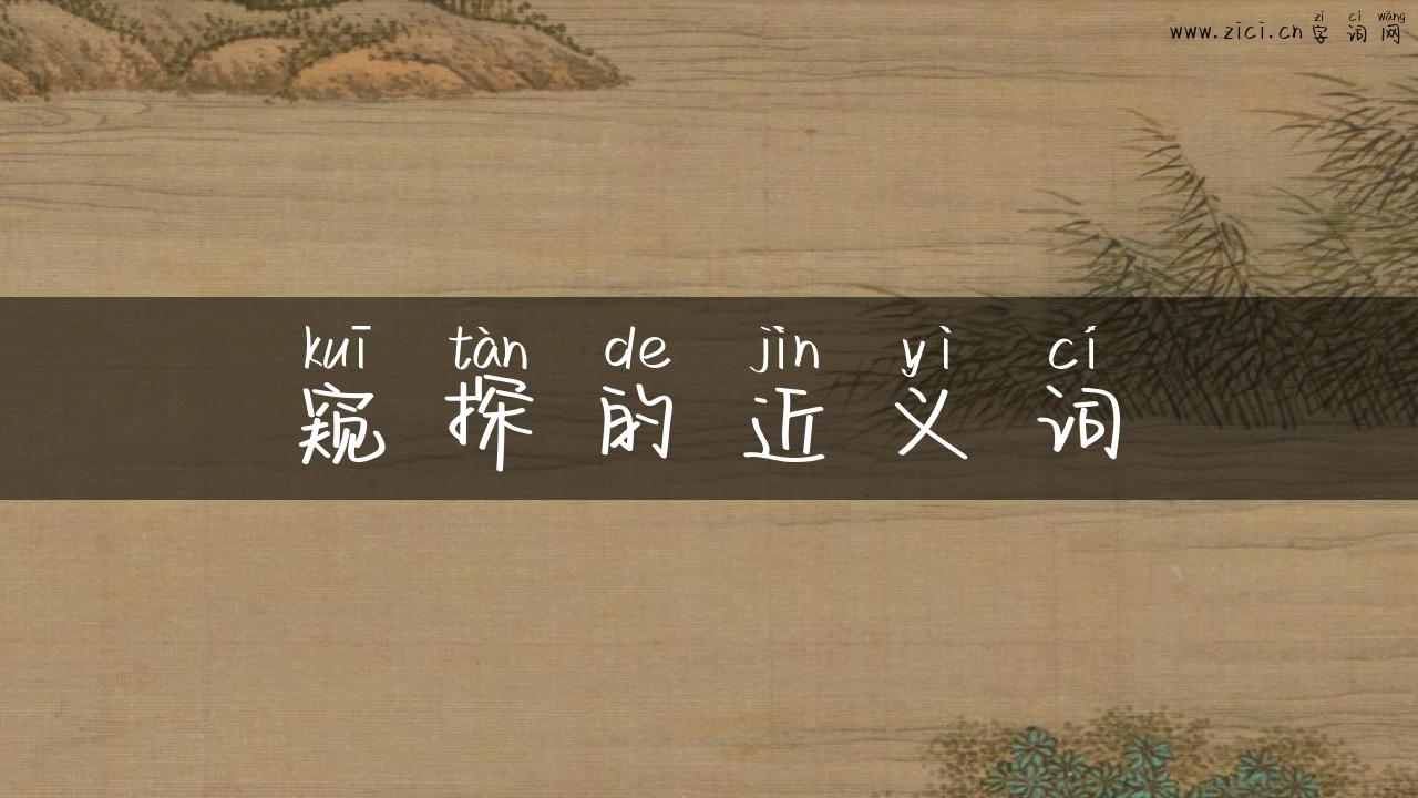窥探的近义词