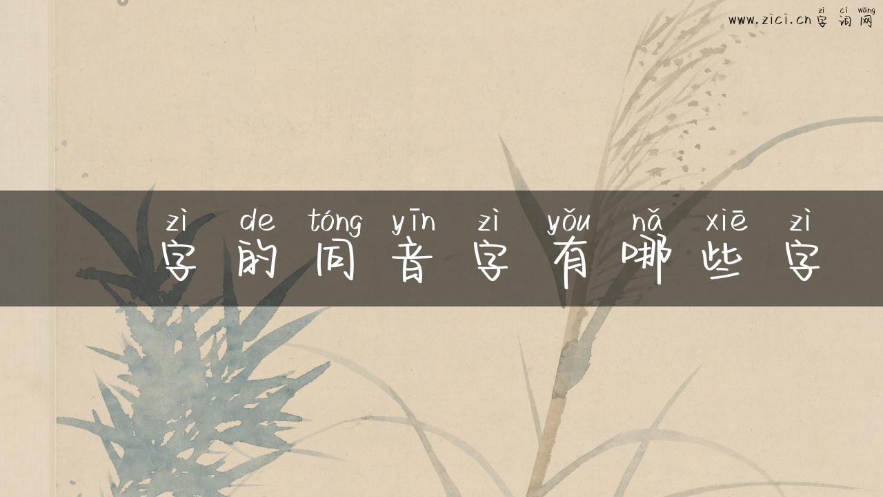 洔字的同音字有哪些字