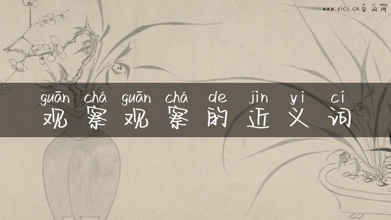 观察观察的近义词