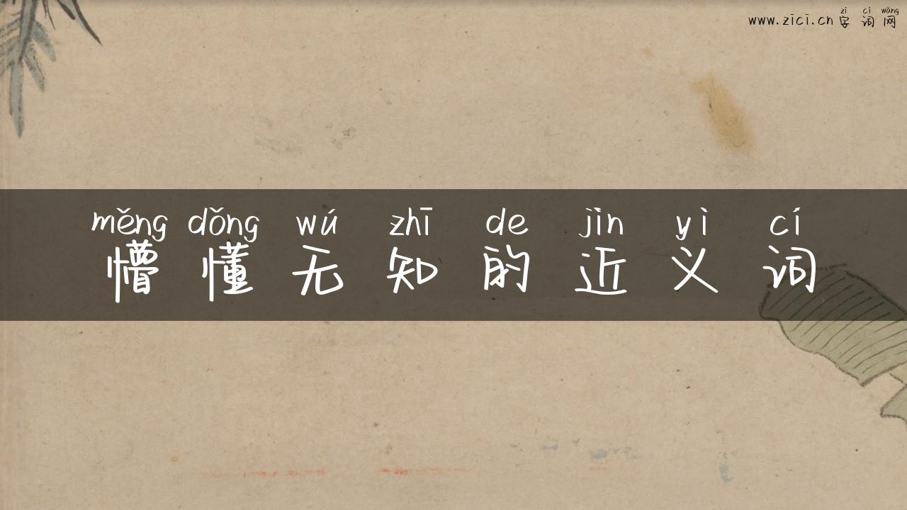 懵懂无知的近义词