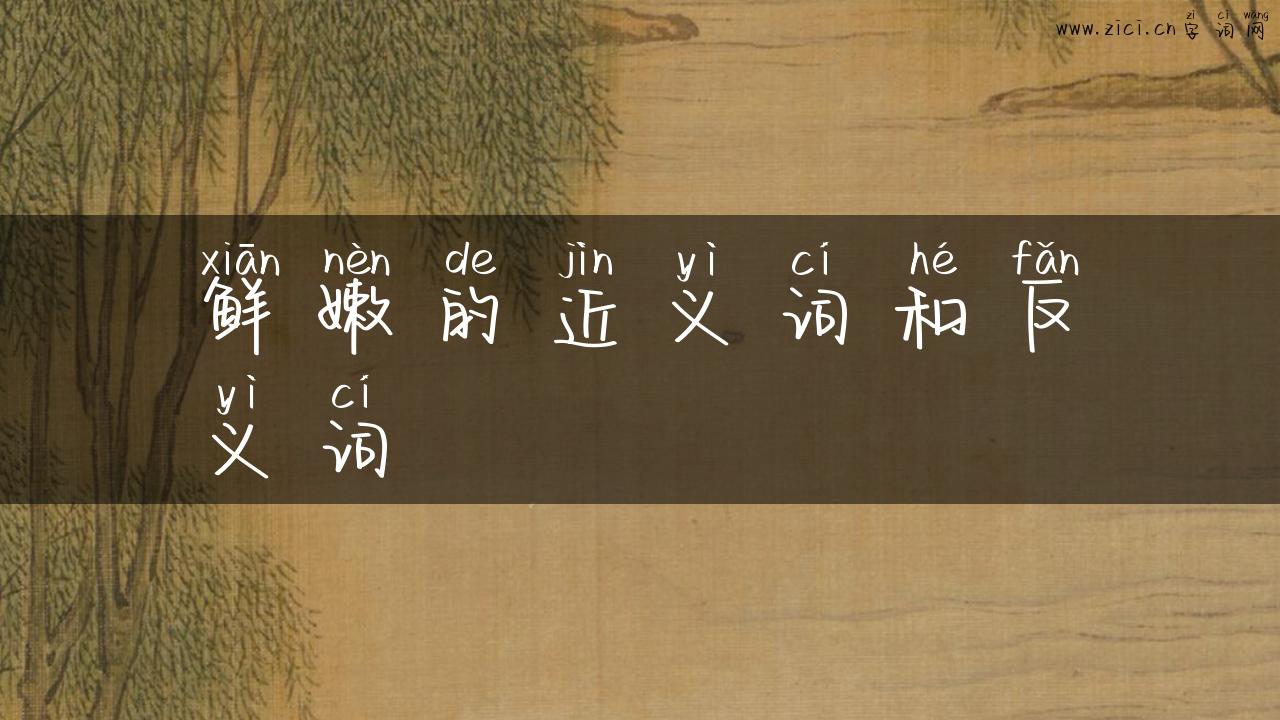 鲜嫩的近义词和反义词