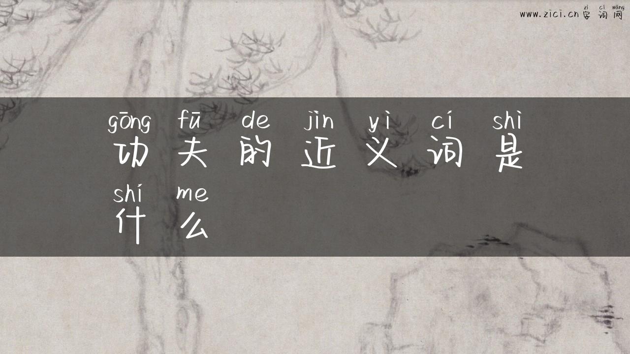 功夫的近义词是什么