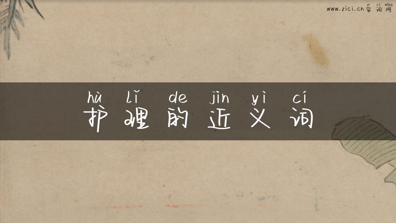 护理的近义词