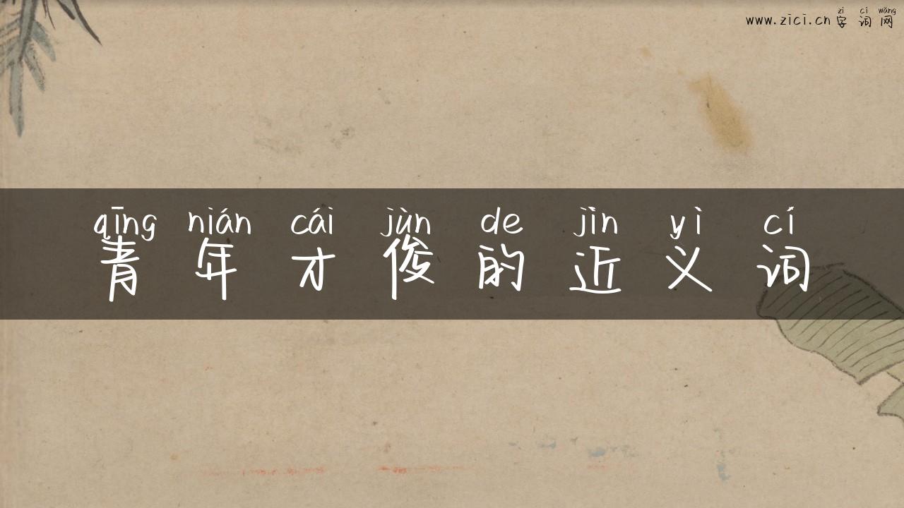 青年才俊的近义词