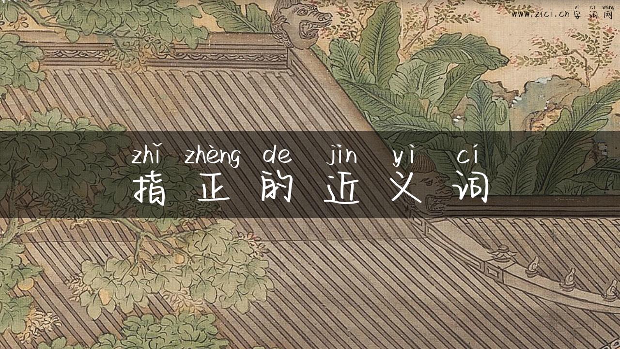 指正的近义词
