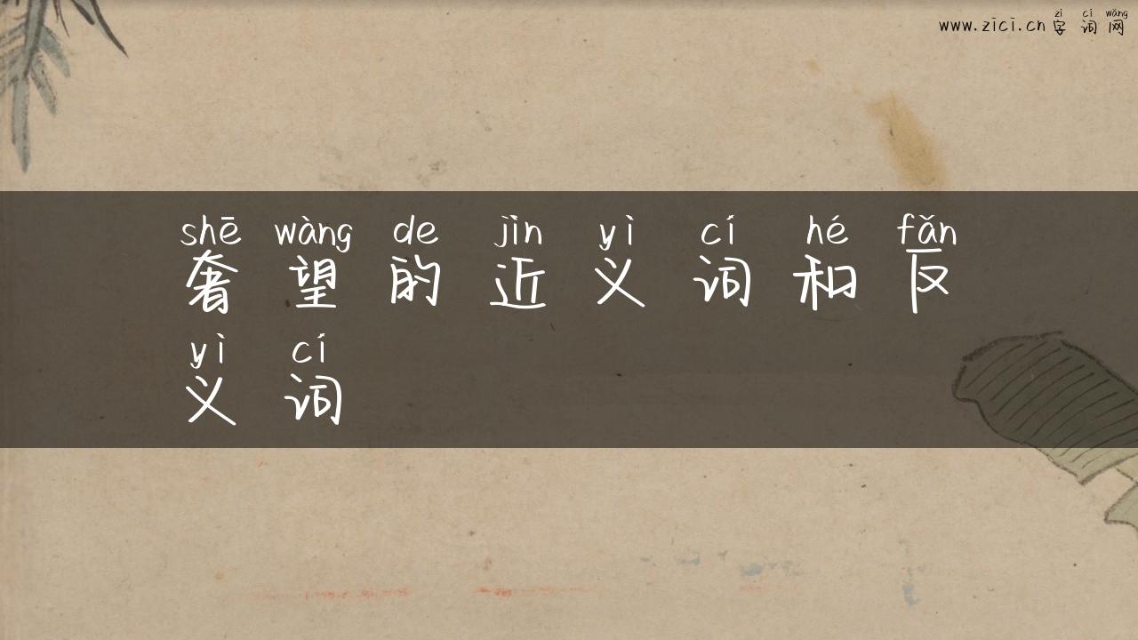 奢望的近义词和反义词