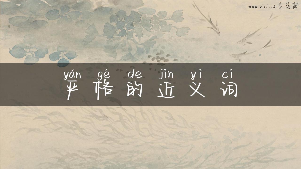 严格的近义词