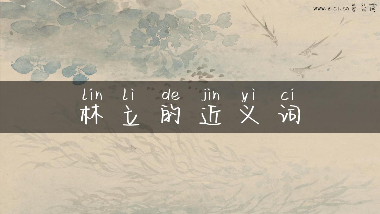 林立的近义词
