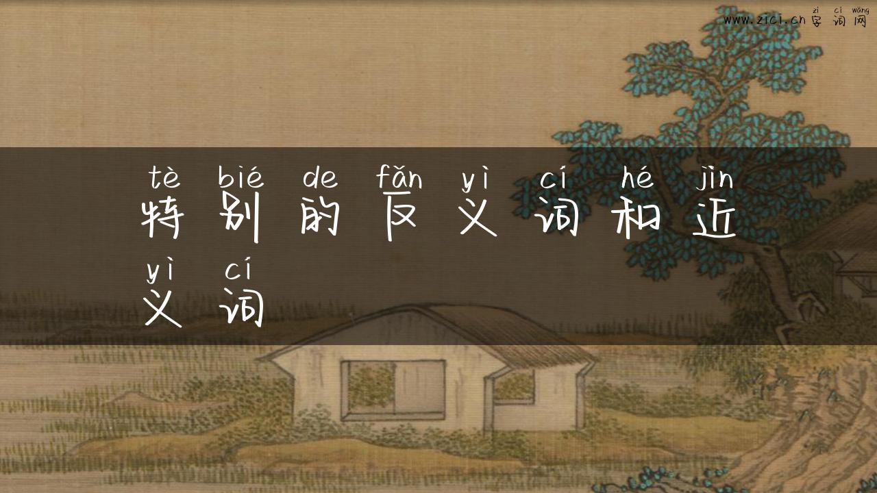 特别的反义词和近义词
