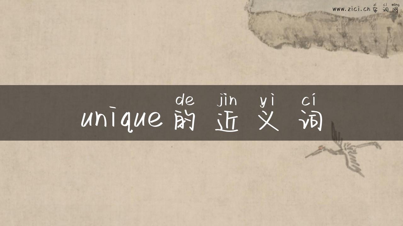 unique的近义词